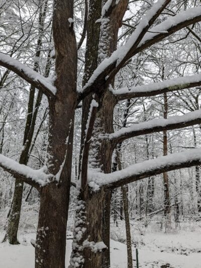 Stephen P Wallace Park - Voorheesville, NY