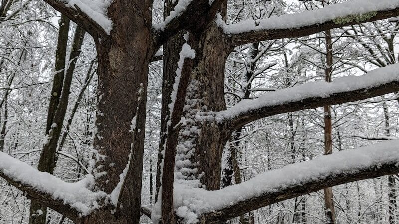Stephen P Wallace Park - Voorheesville, NY