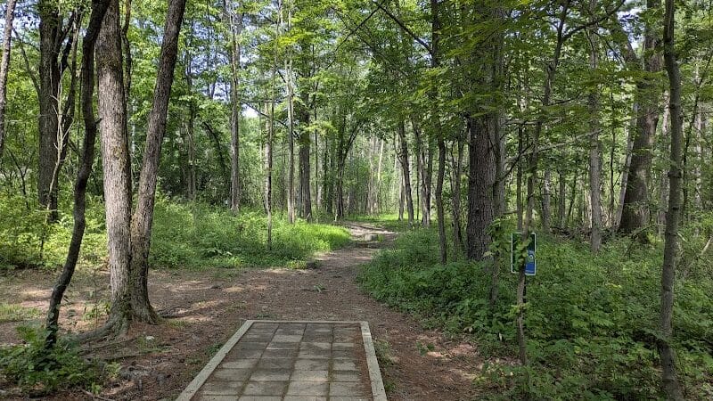 Stephen P Wallace Park - Voorheesville, NY