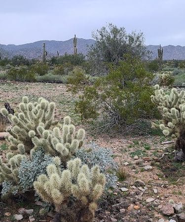 Mule Deer Trailhead