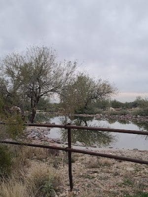 Mule Deer Trailhead