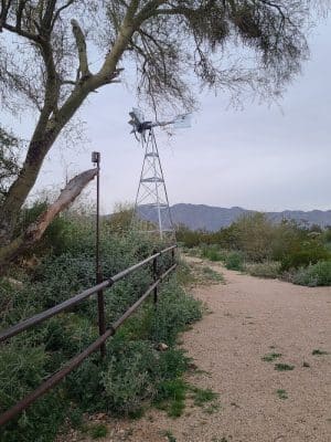 Mule Deer Trailhead