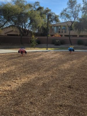 Park with Playground