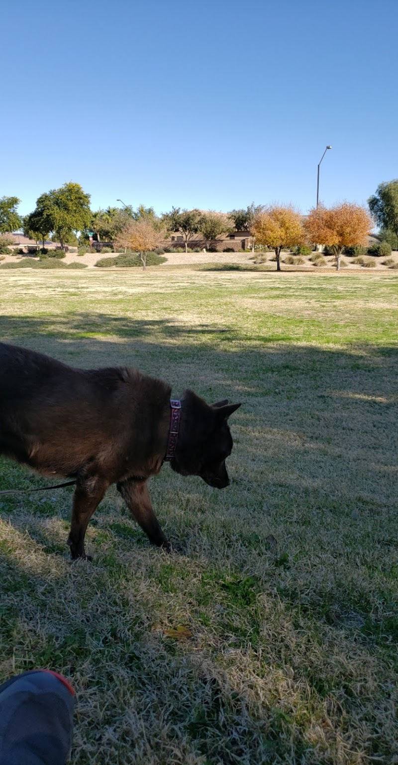 Park with Playground - Waddell, AZ
