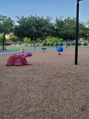 Playground Picnic Park