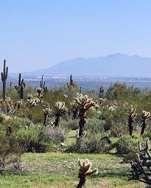 South Trailhead