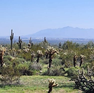 South Trailhead