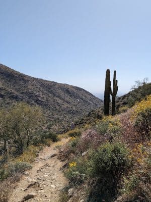 South Trailhead
