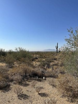 South Trailhead