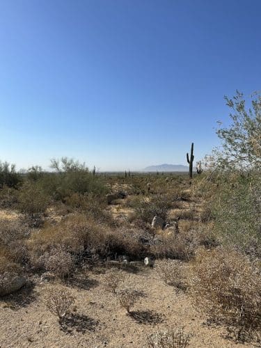 South Trailhead