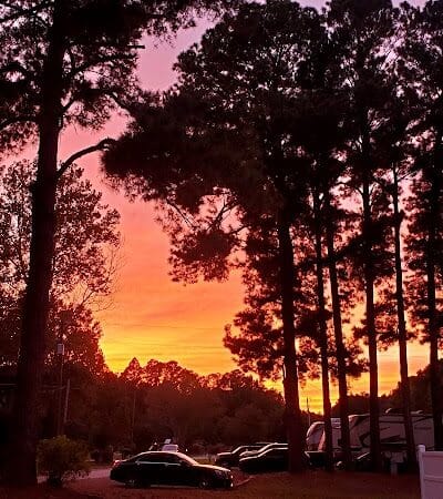 Fayetteville RV Resort & Cottages - Wade, NC