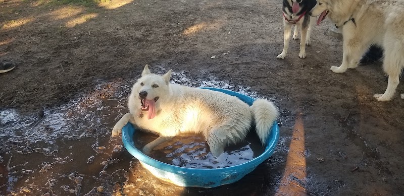 Fort Walla Walla Dog Park - Walla Walla, WA