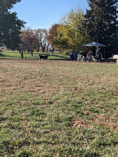 Fort Walla Walla Dog Park - Walla Walla, WA