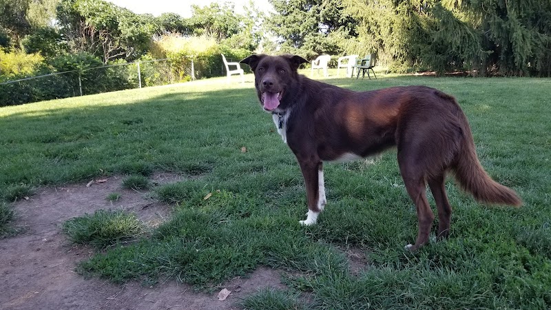 Fort Walla Walla Dog Park - Walla Walla, WA