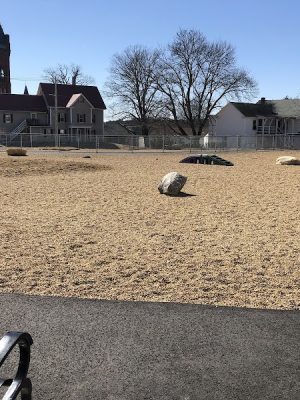 Ware Dog Park