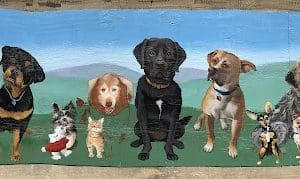 Ware Dog Park