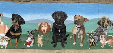 Ware Dog Park