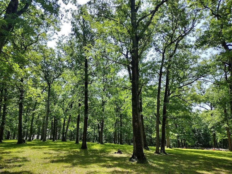 Dyer Park - Warrenton, MO