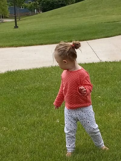 Allison Park - Warroad, MN