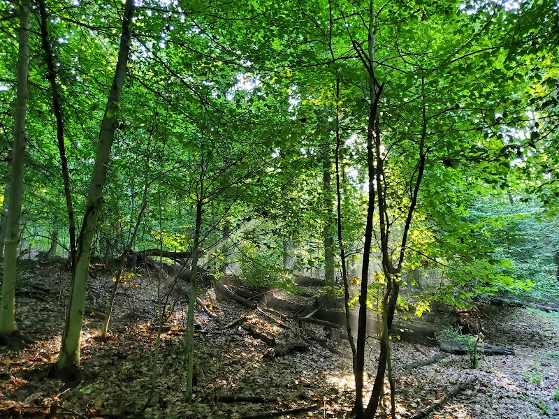 Fort Dupont Park - Washington,