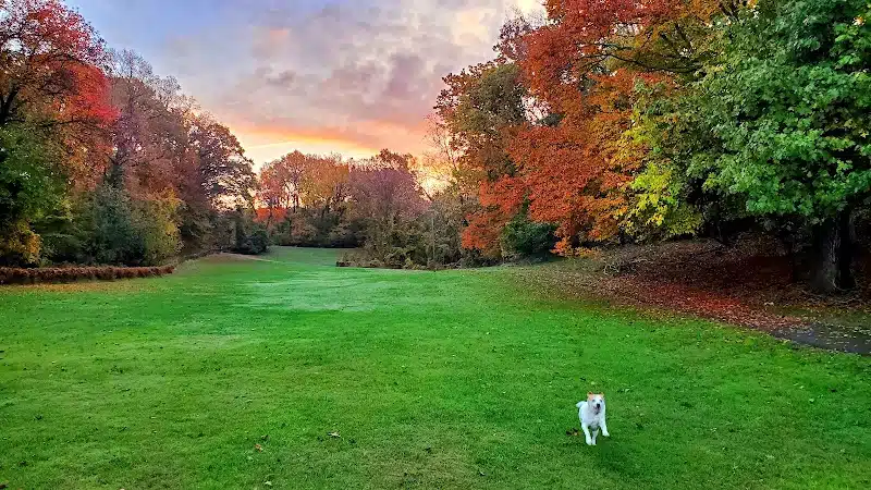 Fort Dupont Park - Washington,