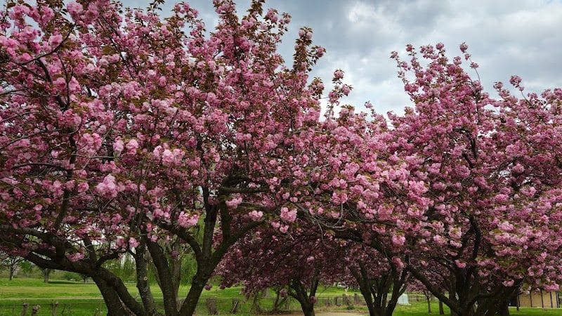 Hains Point - Washington,