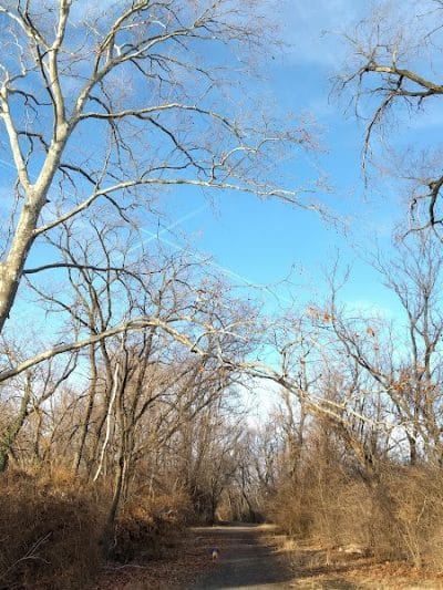 Kingman Island Trail - Washington,