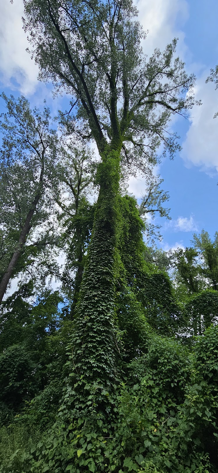 Rotary Riverfront Trails - Washington, MO