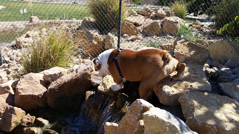 Dog Town Dog Park - Washington, UT