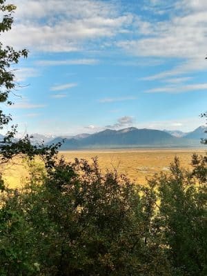 Palmer Hay Flats State Game Refuge