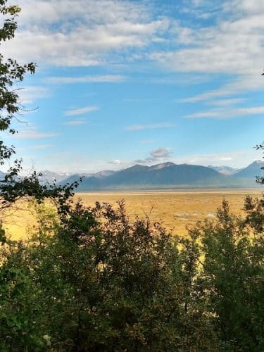 Palmer Hay Flats State Game Refuge
