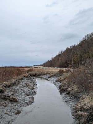 Palmer Hay Flats State Game Refuge
