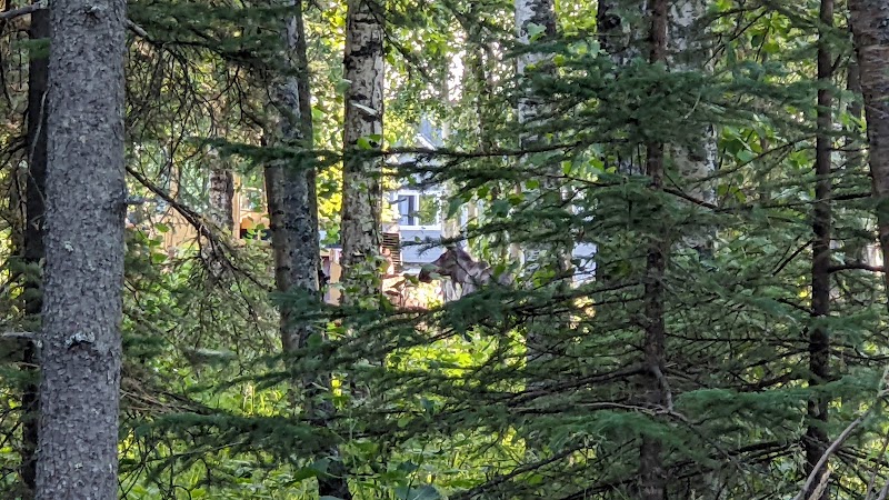 Lake Lucille Dog Park - Wasilla, AK