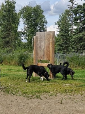 Lake Lucille Dog Park