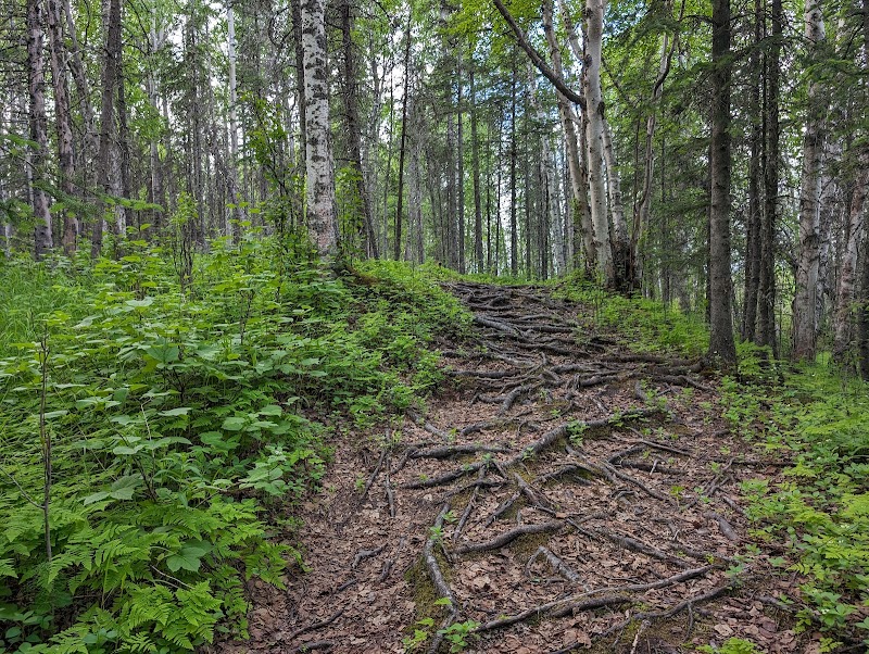 Lake Lucille Dog Park - Wasilla, AK