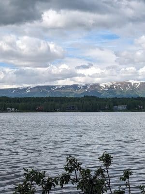 Lake Lucille Dog Park