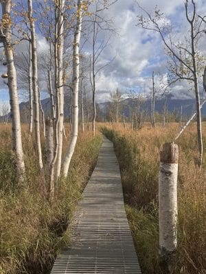 Wasilla Creek Boardwalk Trail