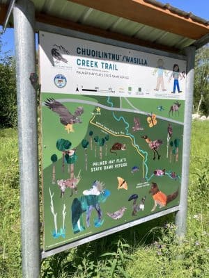 Wasilla Creek Boardwalk Trail