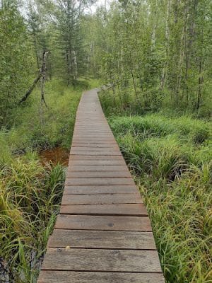 Wasilla Creek Boardwalk Trail