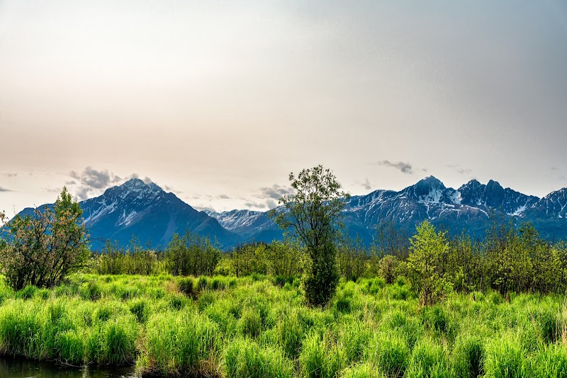 Wasilla Creek Boardwalk Trail - Wasilla, AK