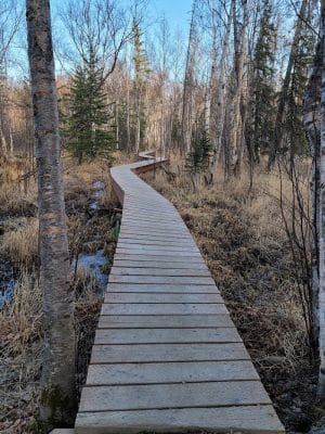 Wasilla Creek Boardwalk Trail