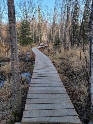 Wasilla Creek Boardwalk Trail
