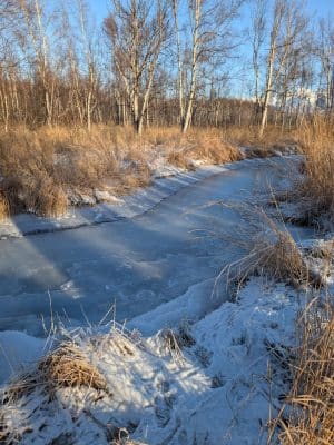 Wasilla Creek Boardwalk Trail