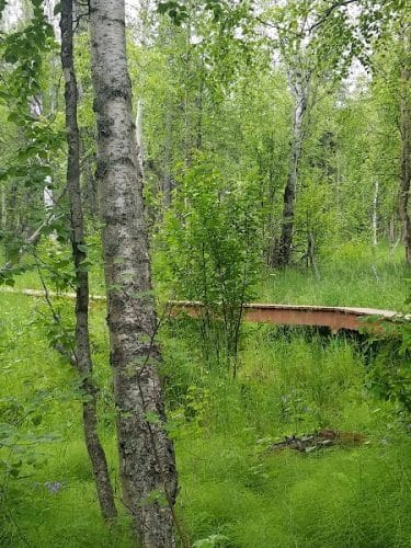 Wasilla Creek Boardwalk Trail
