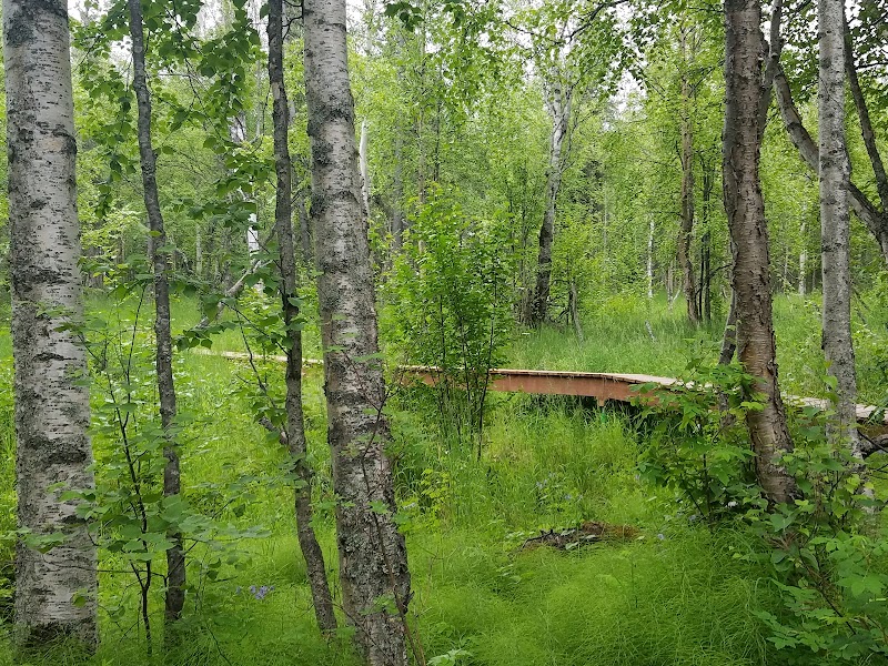Wasilla Creek Boardwalk Trail - Wasilla, AK
