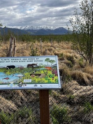 Wasilla Creek Boardwalk Trail