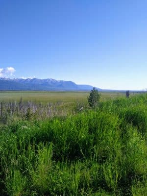 Wasilla Creek Boardwalk Trail