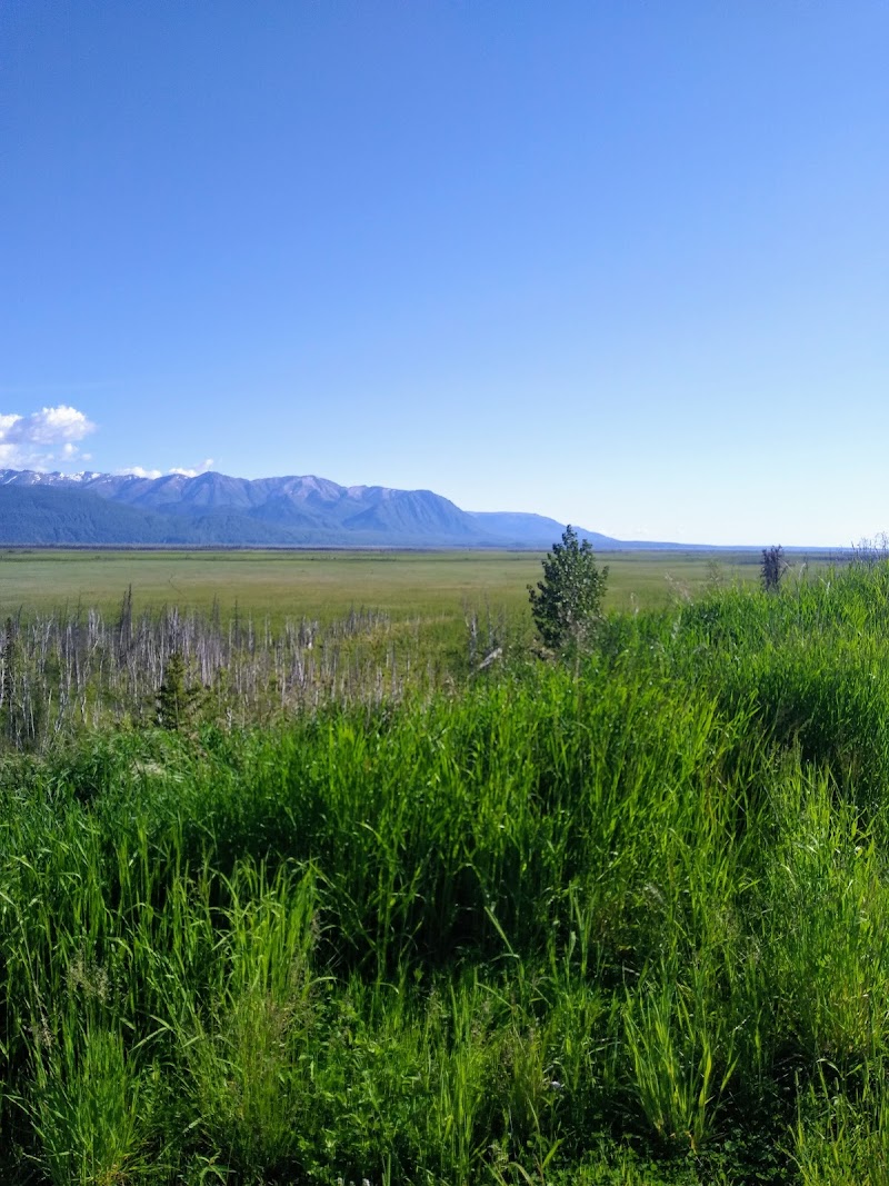 Wasilla Creek Boardwalk Trail - Wasilla, AK