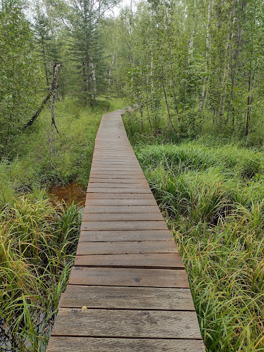 Wasilla Creek Boardwalk Trail