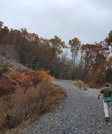 Blue Stone Quarry